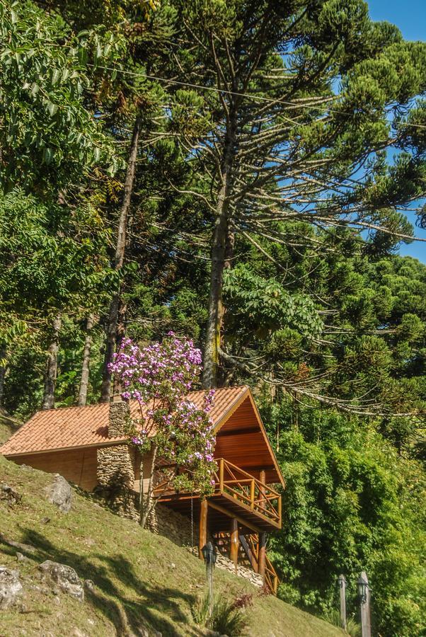 Chales Araucaria E Manaca São Bento do Sapucaí Eksteriør billede